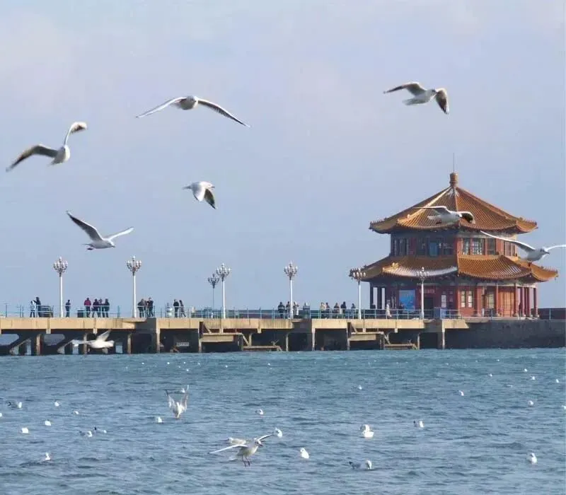 148db811ec920686cd7007c11f54152f-sz_65208