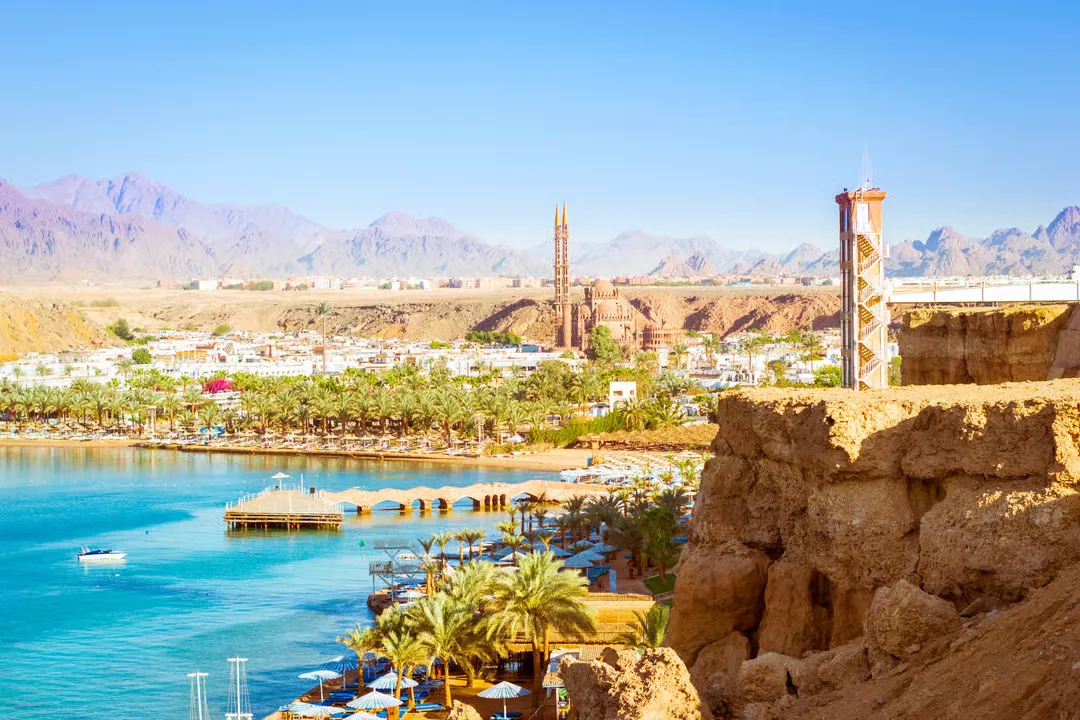 14b6a7b7d3b41a3af564e10af4a78796-sz_1190412 14b6a7b7d3b41a3af564e10af4a78796-sz_1190412