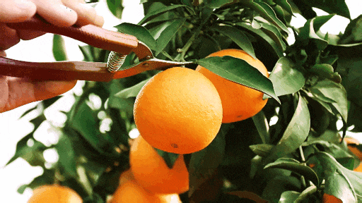 14d670697b3730fa147c15faf7ddef68-sz_2589405 14d670697b3730fa147c15faf7ddef68-sz_2589405