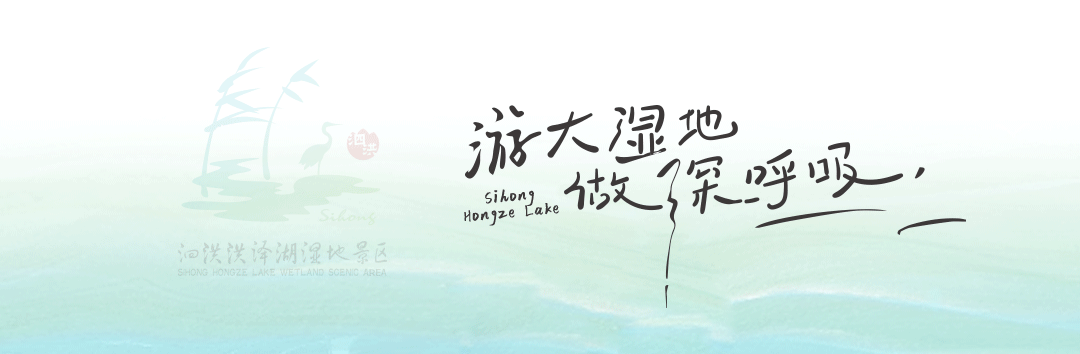 14e8347fb1f05dc2383b4bc5c7583af7-sz_792490