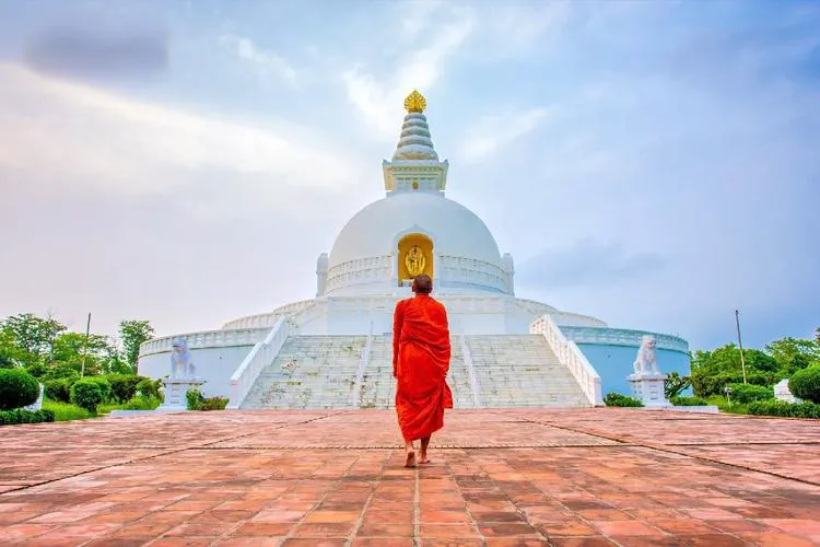 14e8fcd9761d23ed60d4ccc6255a451a-sz_461217 14e8fcd9761d23ed60d4ccc6255a451a-sz_461217