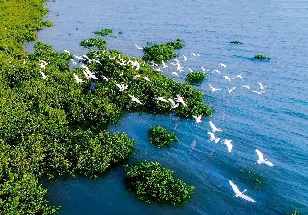 14fd436f9ab0dbb2c3e8e212658f1341-sz_306197