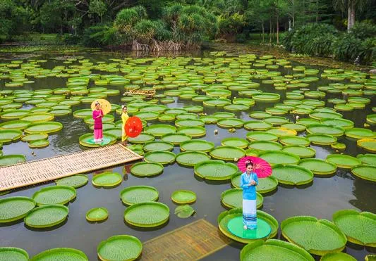 1511e1ca5c80240226e3f63ac4451809-sz_410837 1511e1ca5c80240226e3f63ac4451809-sz_410837