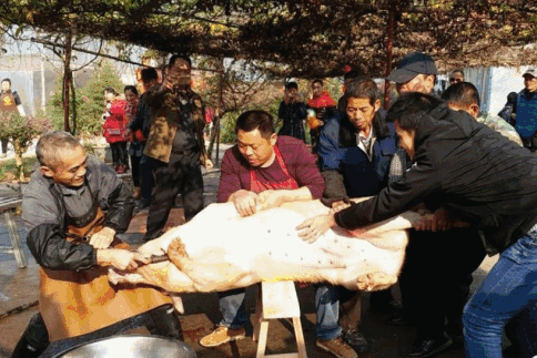 15647a8f0e33e3bb5c5caa49a8f131f7-sz_470049 15647a8f0e33e3bb5c5caa49a8f131f7-sz_470049