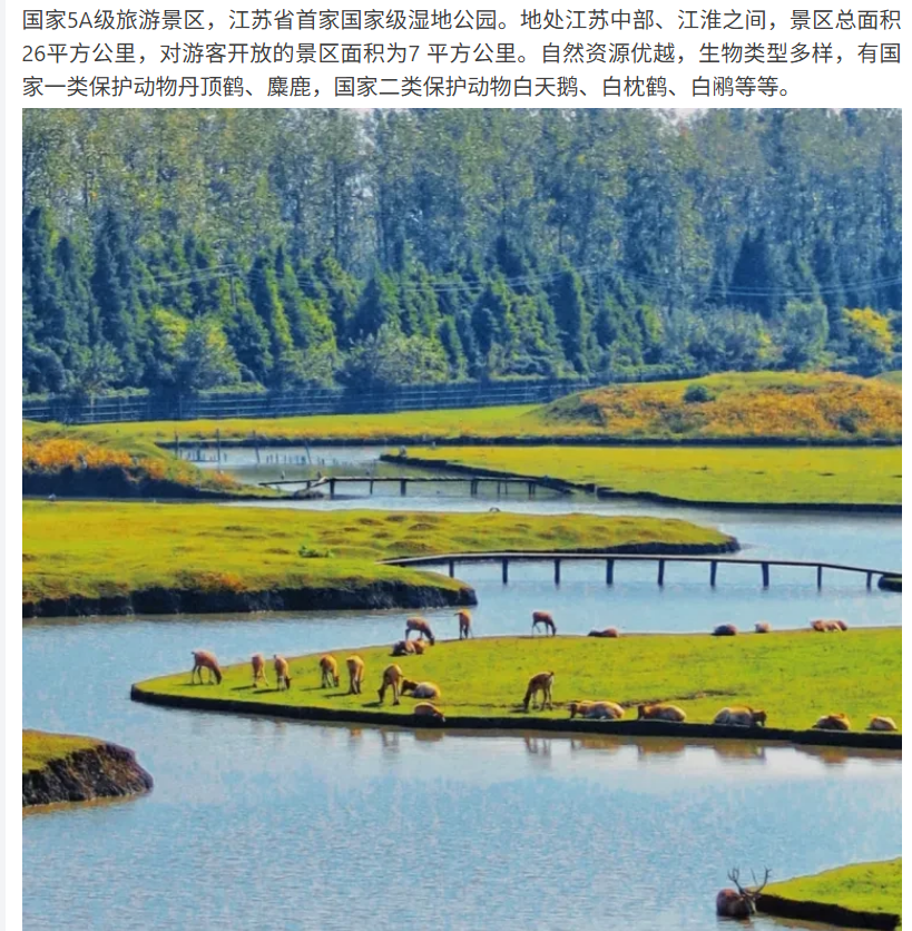 15653dc9582678c6e4f438a174f7efce