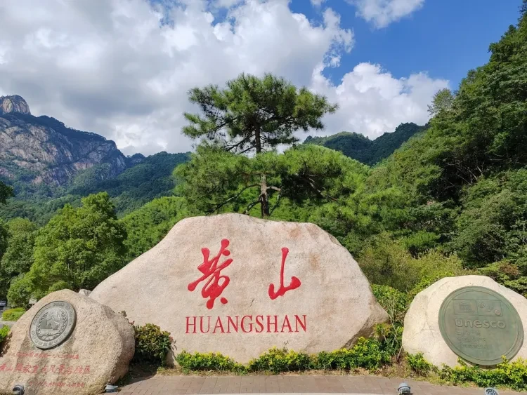 158b0b0bb6cd3ea248f199f251deaffd-sz_3463971