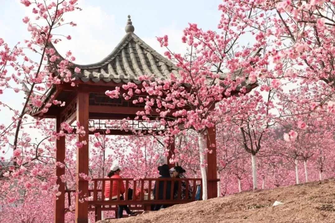 158c7353bb65a0620d94fe22263ec7ae-sz_549337