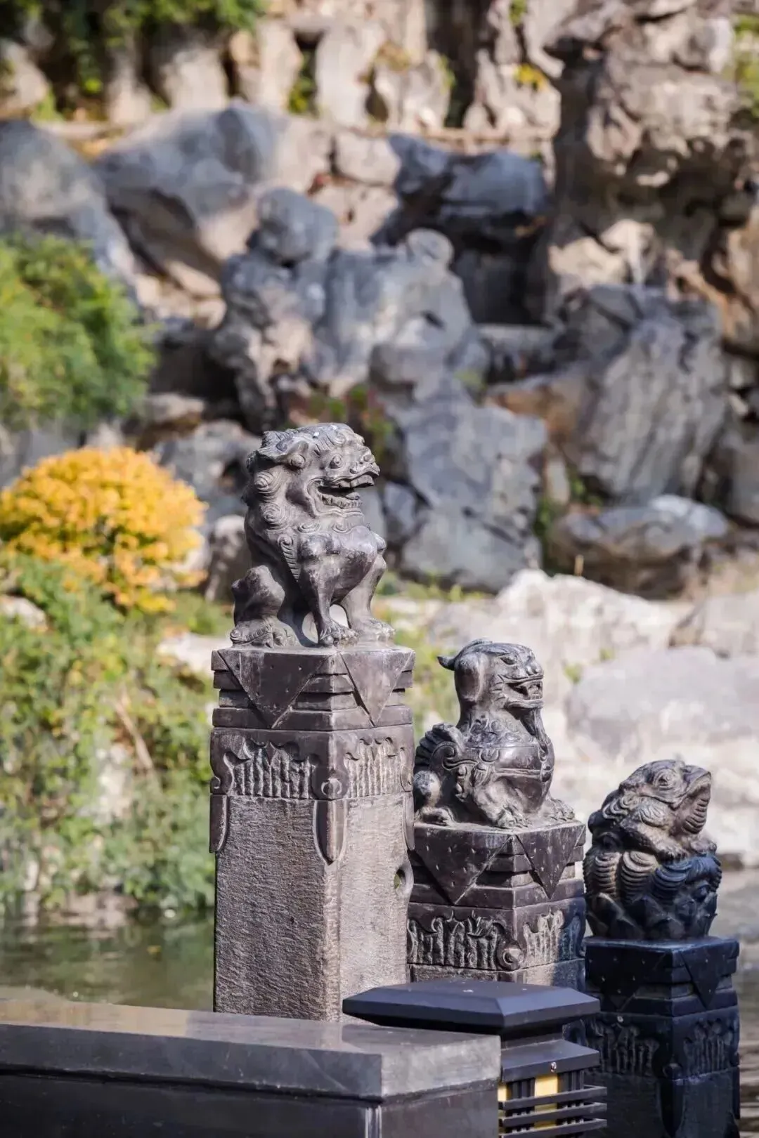 15eb7f52a8d69765f6d8bee300e42445-sz_230441