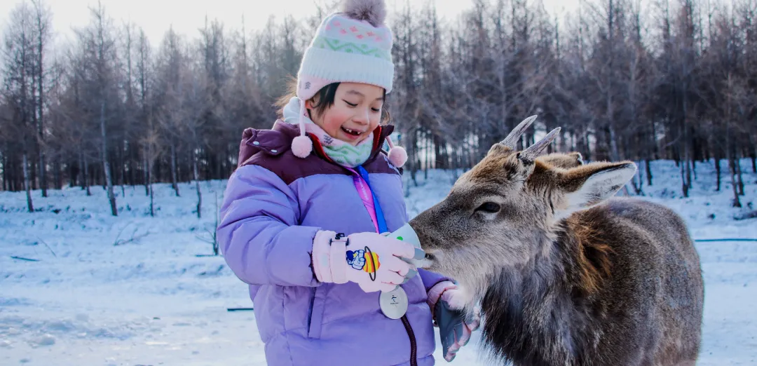 1601f5ccf98241f25c22d6e39b56313b-sz_5687700 1601f5ccf98241f25c22d6e39b56313b-sz_5687700