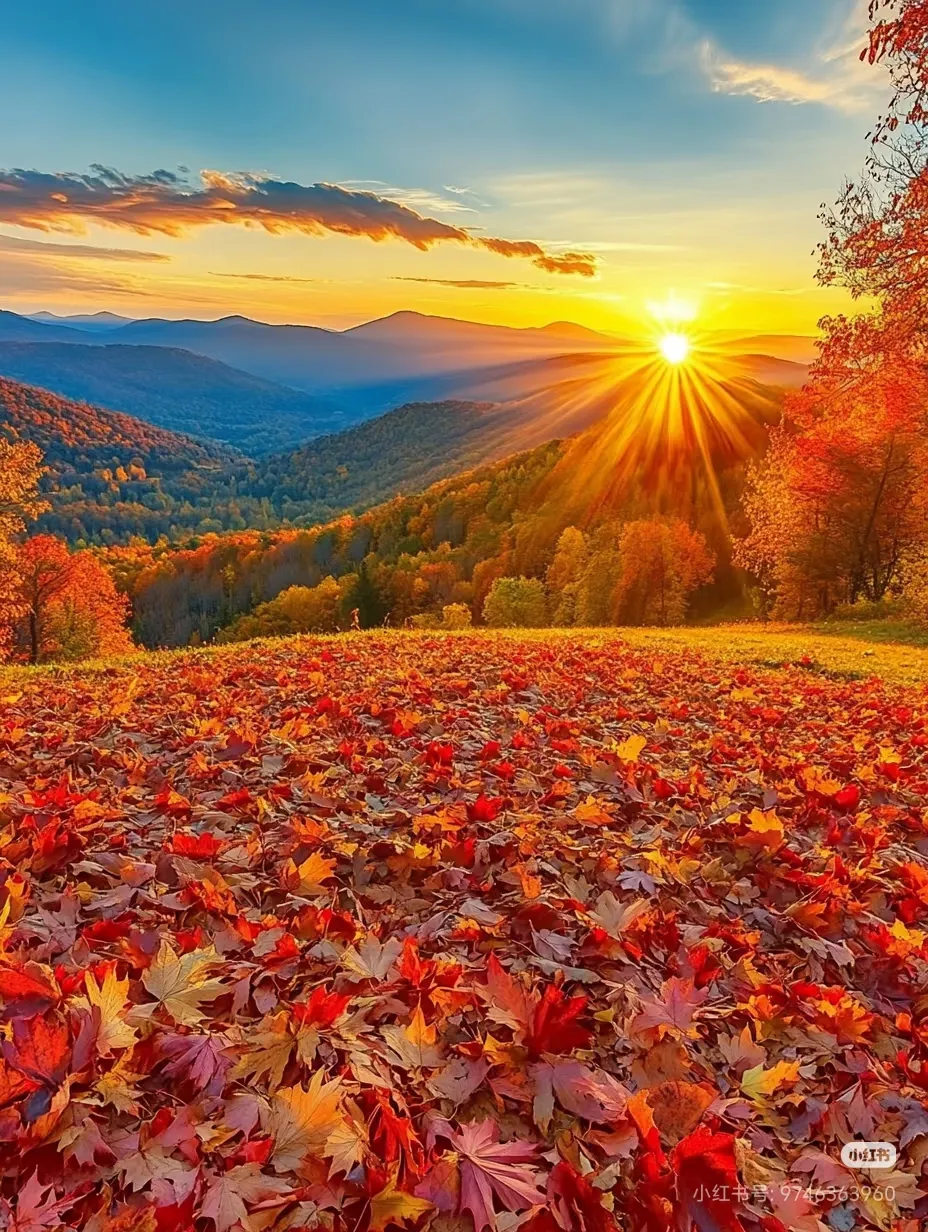 1616a4c48f30756e3d0859384f8623e4-sz_927537 1616a4c48f30756e3d0859384f8623e4-sz_927537