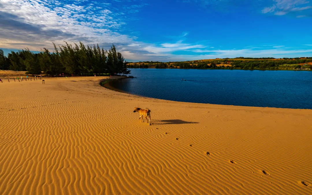 16452eb6b2bd74206bab69a2543c8d32-sz_2271939