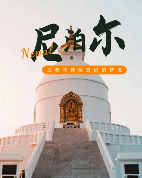 164bf408019f12ee298b3b7bcc14c60f-sz_389942 164bf408019f12ee298b3b7bcc14c60f-sz_389942