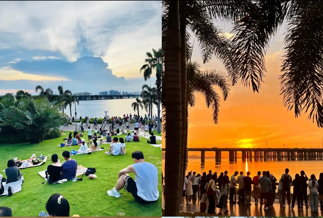 1654d42a0f23b990bb7aa76ac09e5632-sz_405607