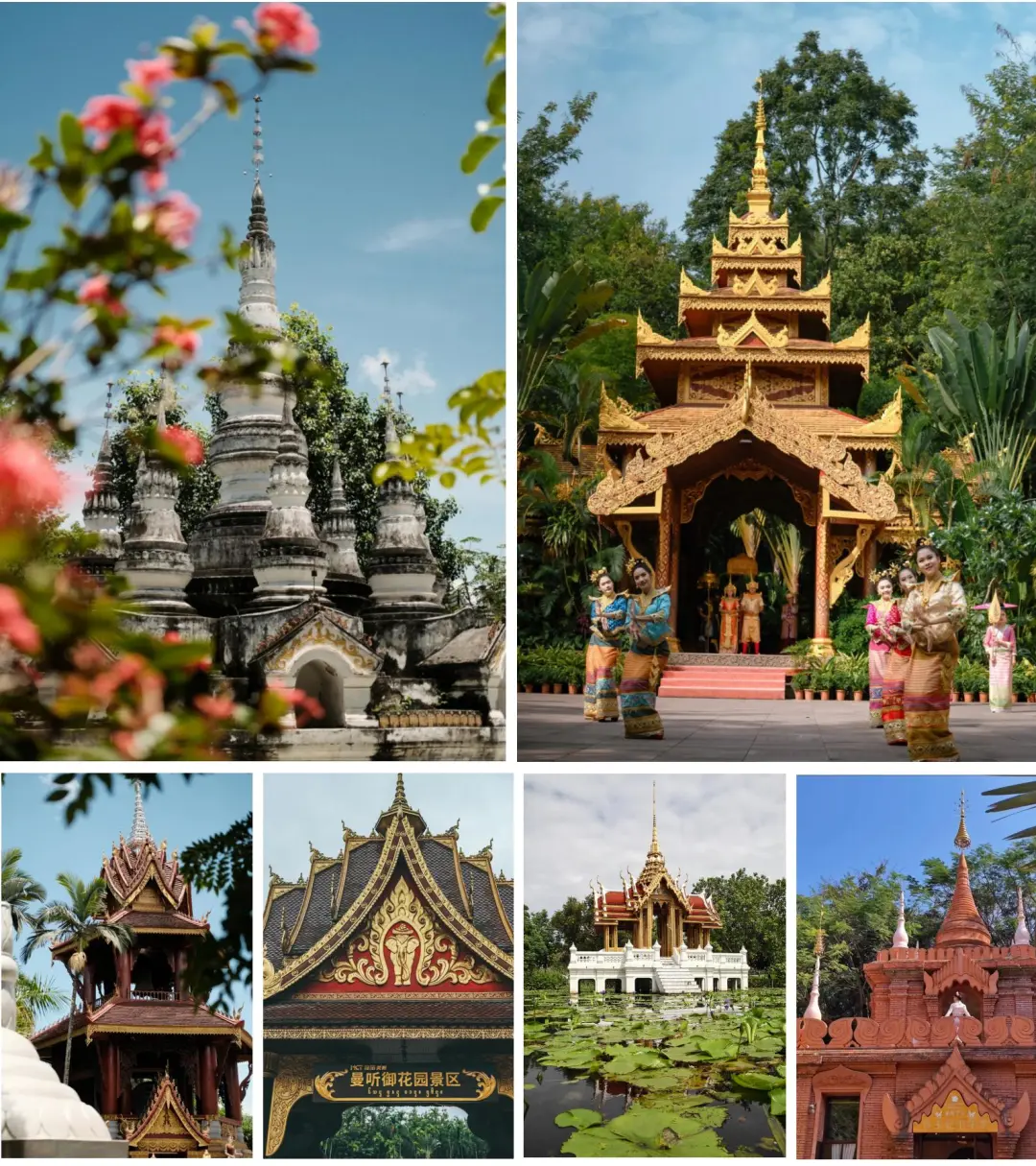 16573bc4b5d32d4ccaa816bd104949db-sz_512384