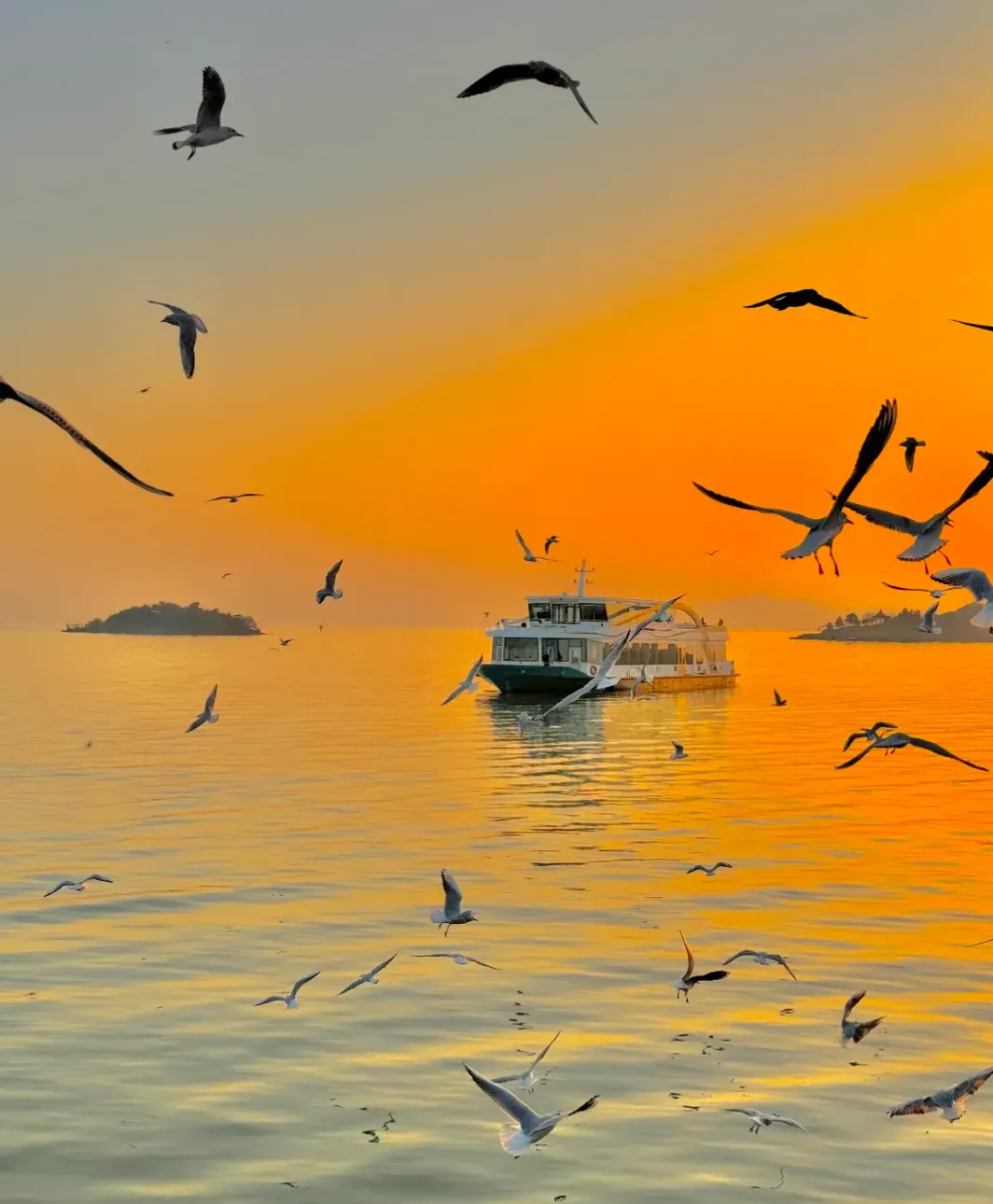 1668ce2188e8413698f8687f35cb3198-sz_1398852-2