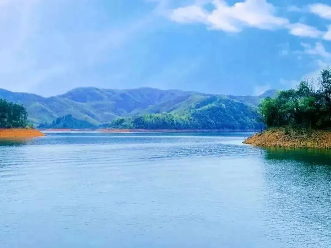 166dae9df35b458589268c9c2f074bc1-sz_82991-2