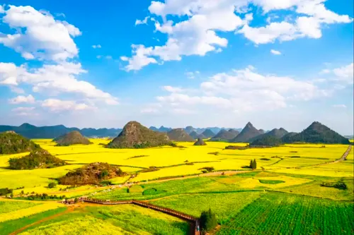 167e8c28f6802077b1503071060826fe-sz_326023