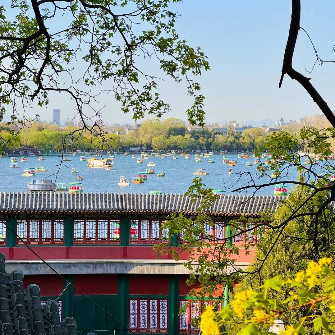 168c2d9ecd0e7c62b3131a1d8abd1826-sz_681351