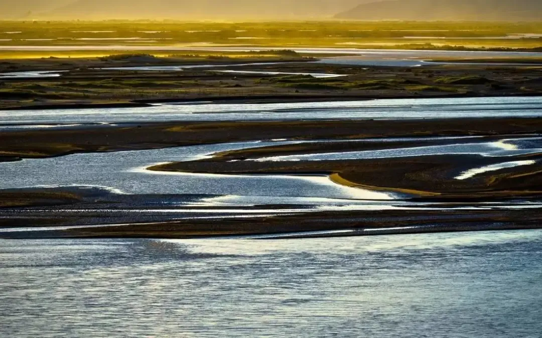 16991b9feea10413eacac08456fe85a9-sz_1449534 16991b9feea10413eacac08456fe85a9-sz_1449534