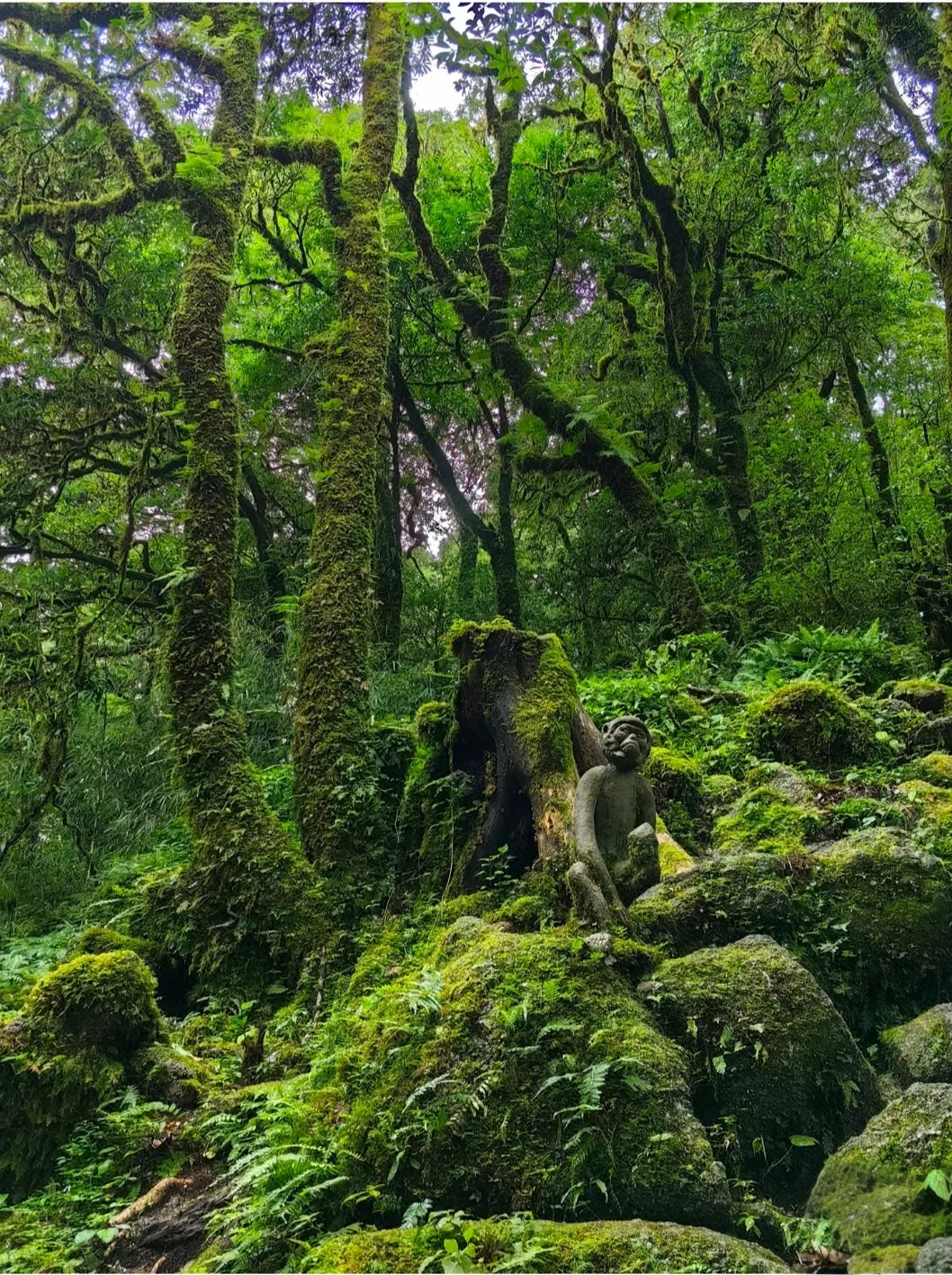 16bd81452a803a7ab616c46af42178f8-sz_1075961