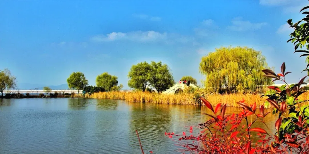 16c9e821799efe0225f7dbf9230a960a-sz_1176061 16c9e821799efe0225f7dbf9230a960a-sz_1176061