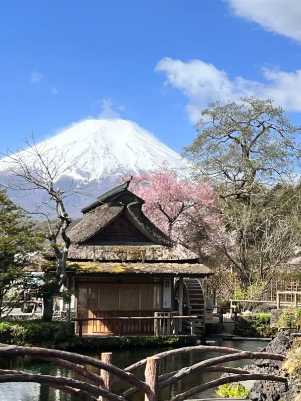 16f96acd8faa17c7085de3659b5fe19a-sz_532528