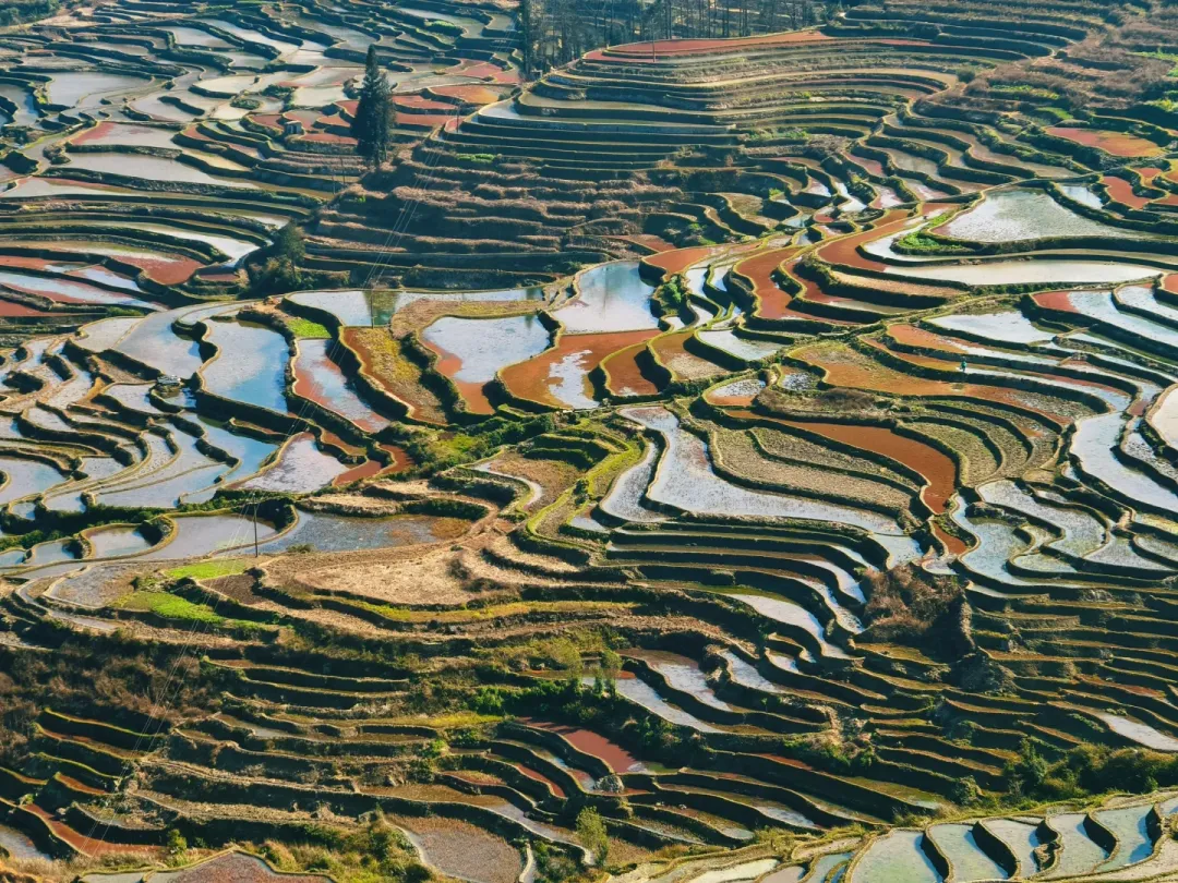 171fb7df9f148e56bed7c30927275e4e-sz_4289224-1