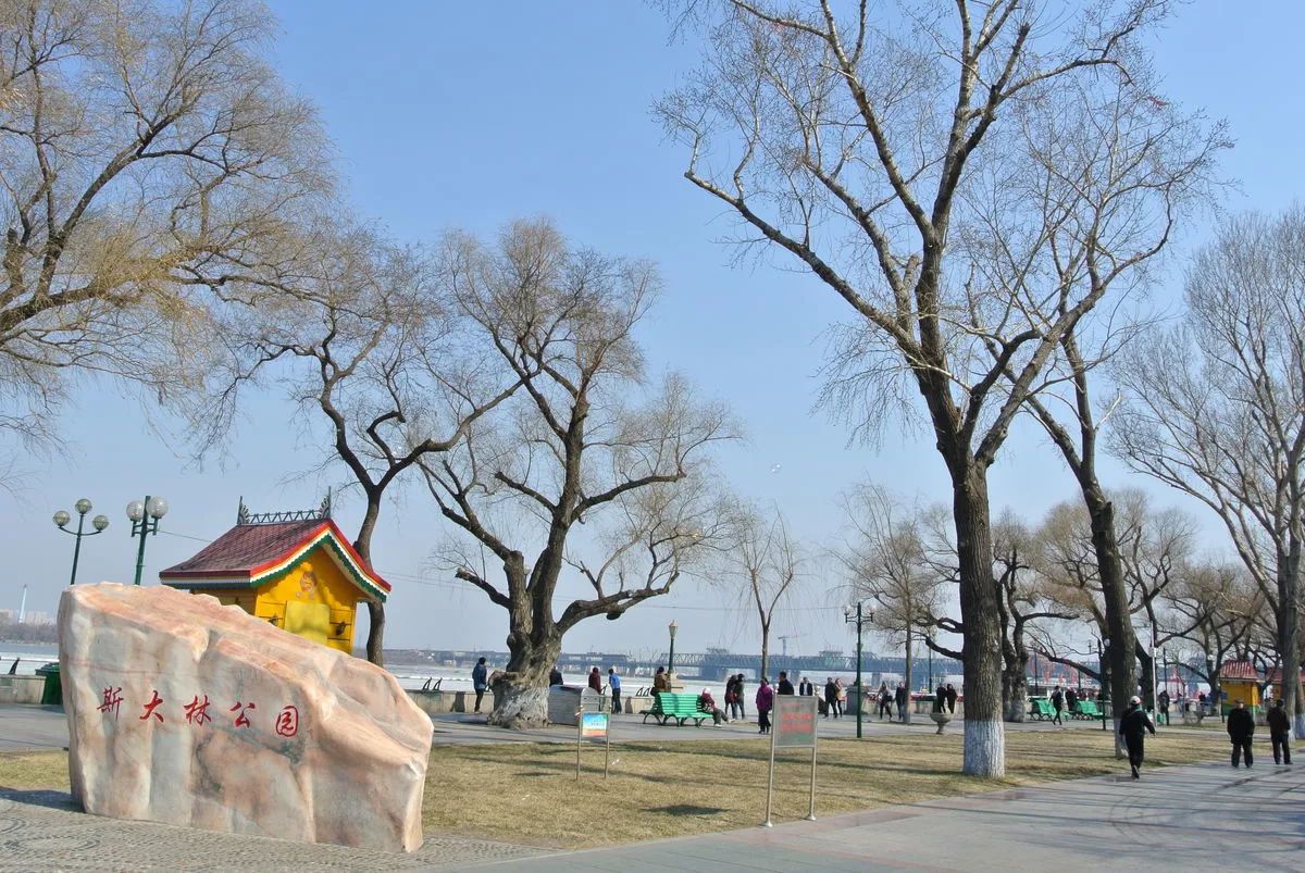 1734595528249MhQ7Pez 1734595528249MhQ7Pez