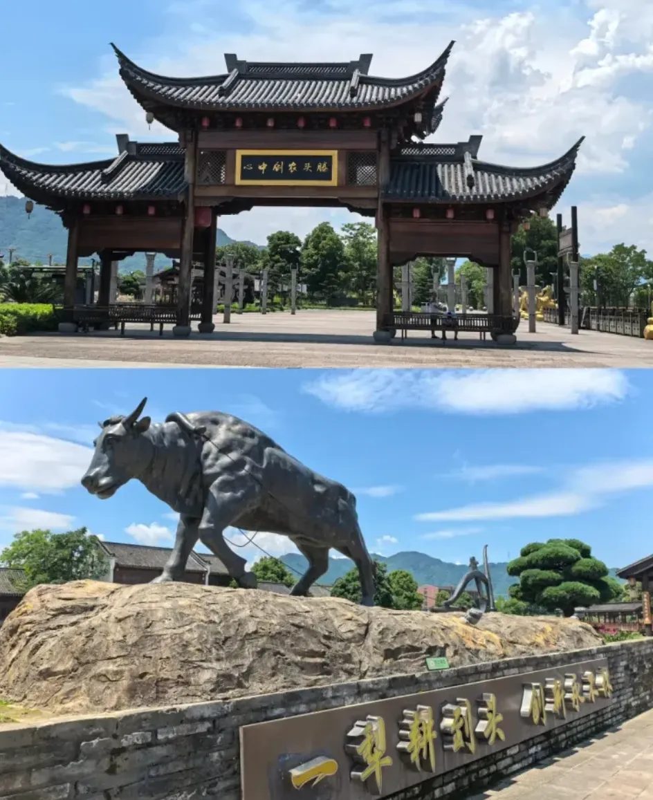 174fc0870be3043d61de8398d823ca7a-sz_1640782