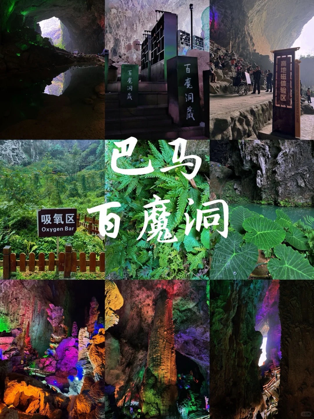 1758265691687_26myp5Ct