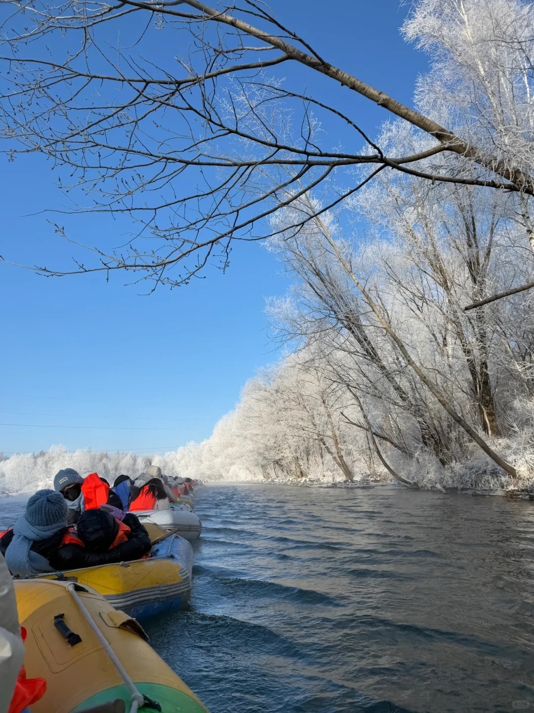 1763982156782_14DBPhfs