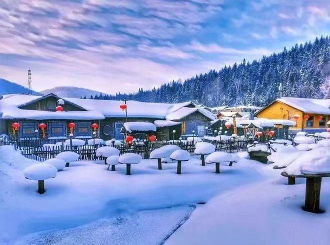 1764036500340hhiaBwA-1