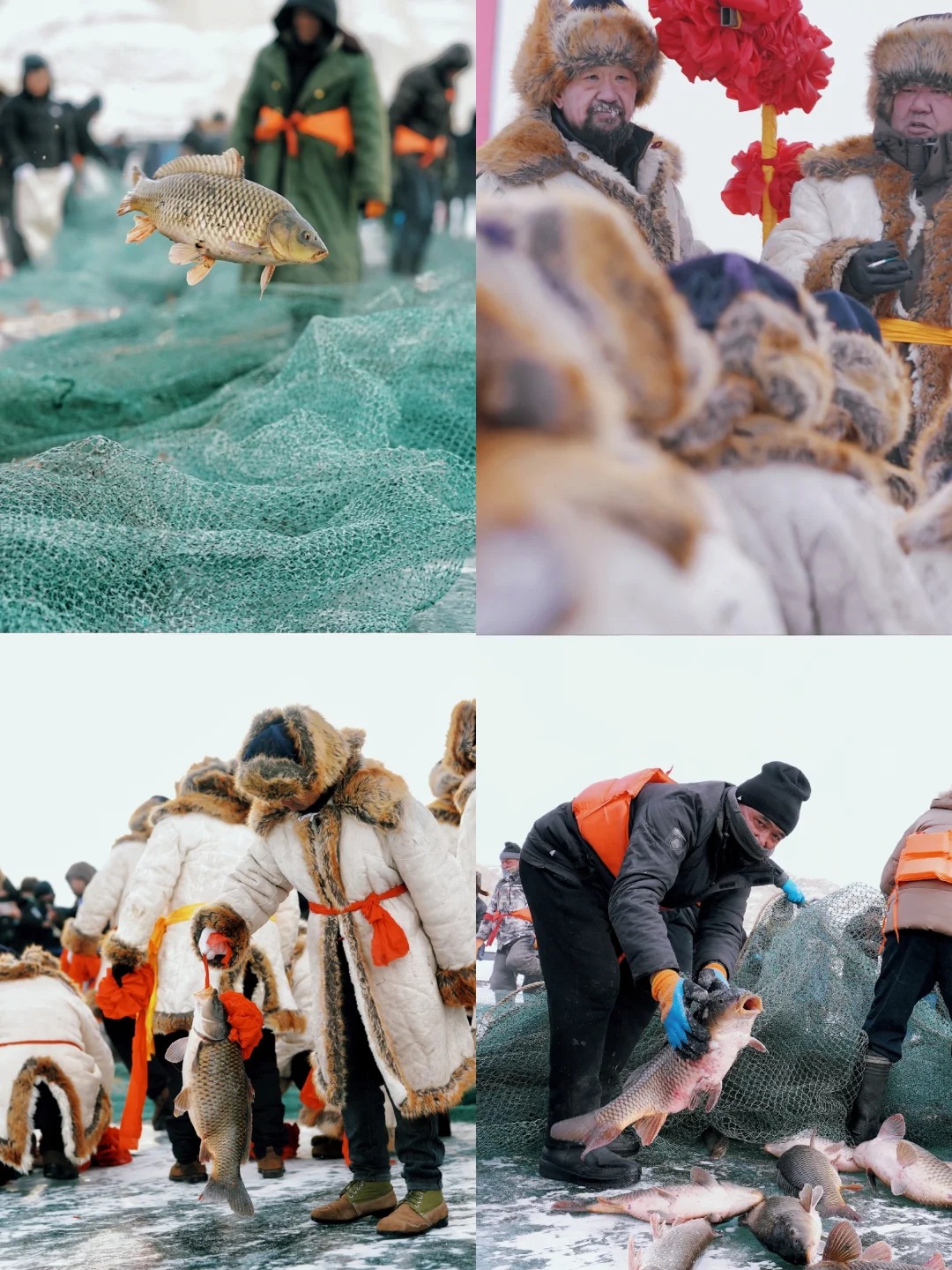 1764036549039HRynHkt