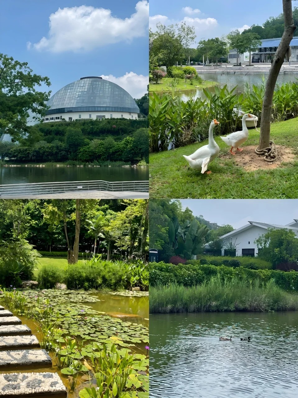 1764225196896_28E8y8sY 1764225196896_28E8y8sY