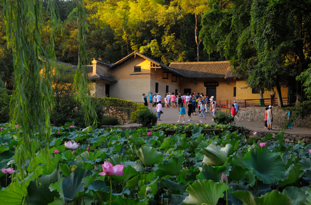 1764312482110_12btNwAG