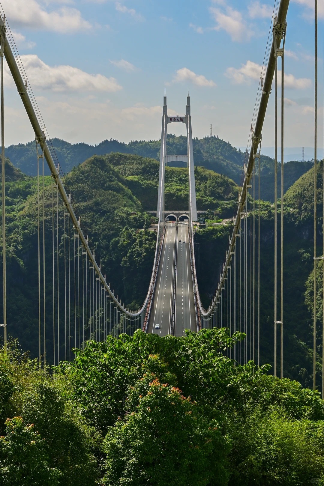 1764313919888_19nYM4fR 1764313919888_19nYM4fR