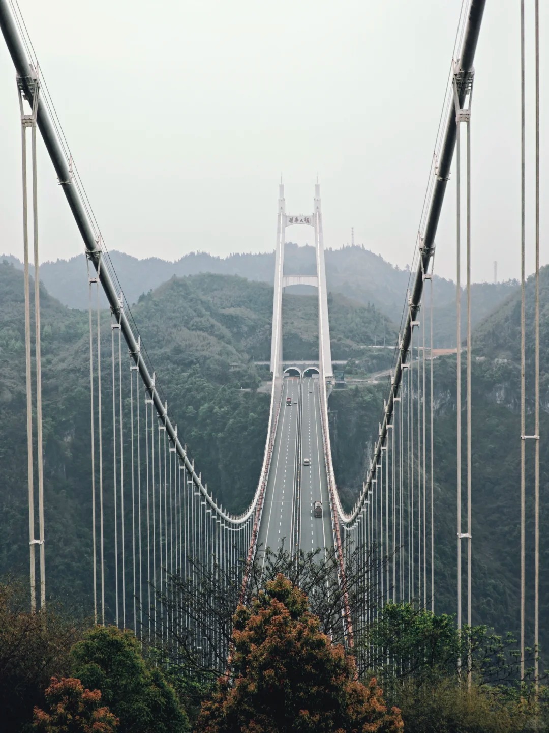 1764313919889_16Ns3GNQ 1764313919889_16Ns3GNQ