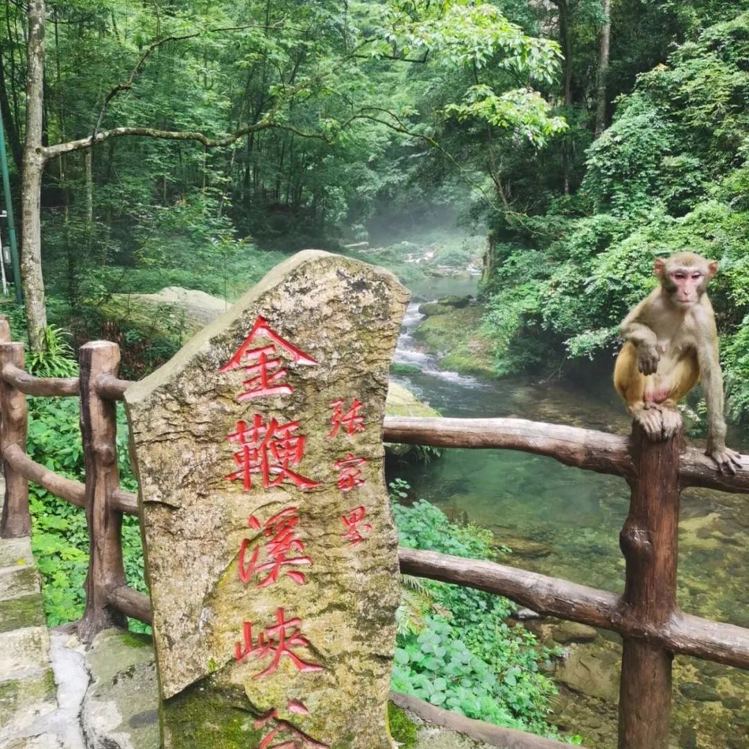 1764313919890_8KpAf2b 1764313919890_8KpAf2b