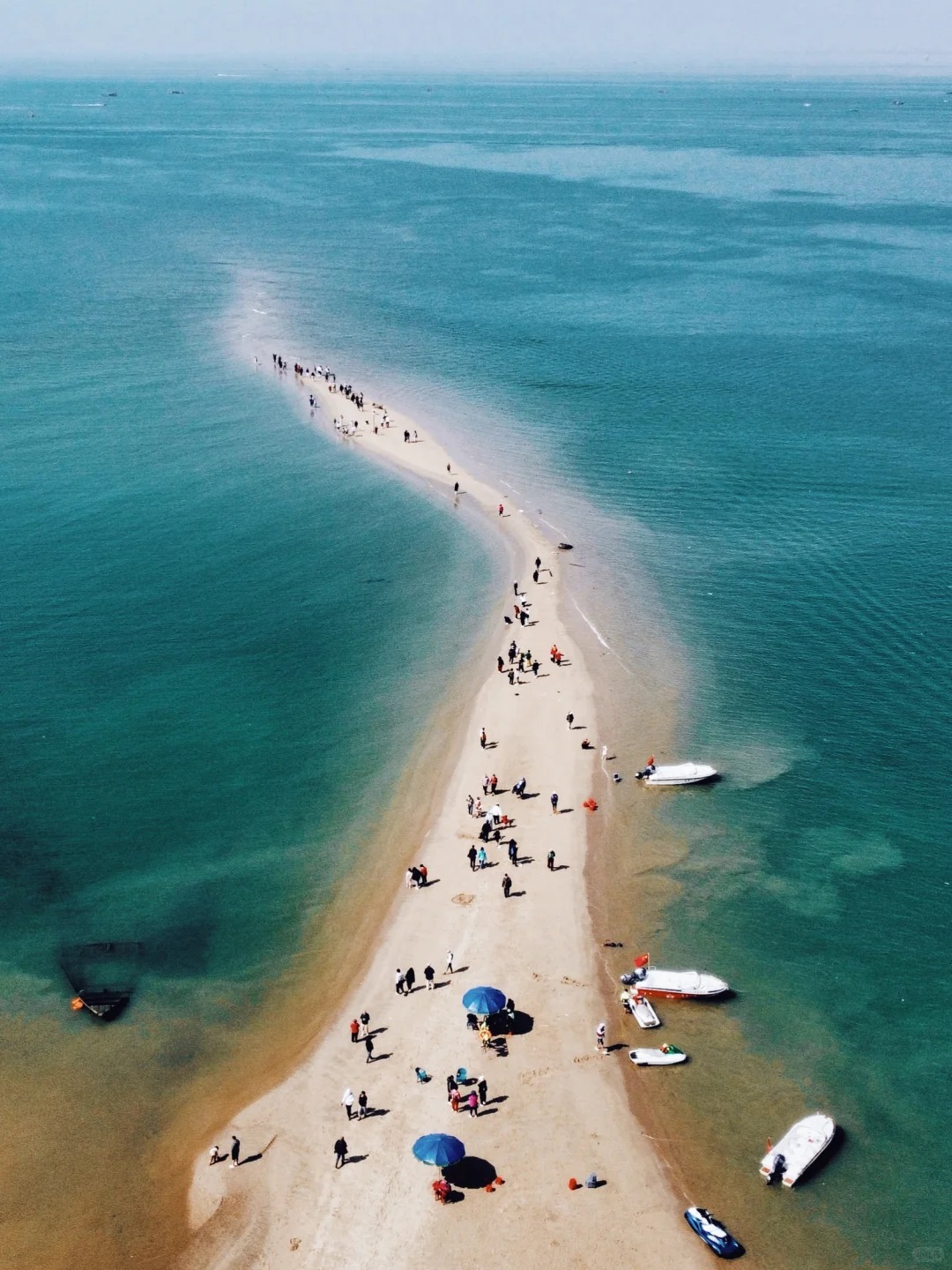 1764577120203_4185M22F