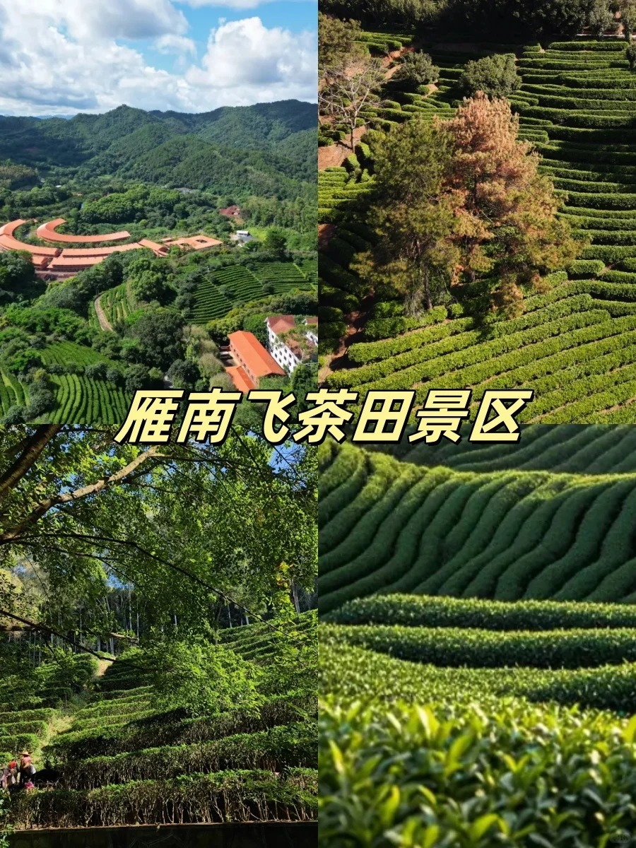 1764577735317_48NsMbWF 1764577735317_48NsMbWF