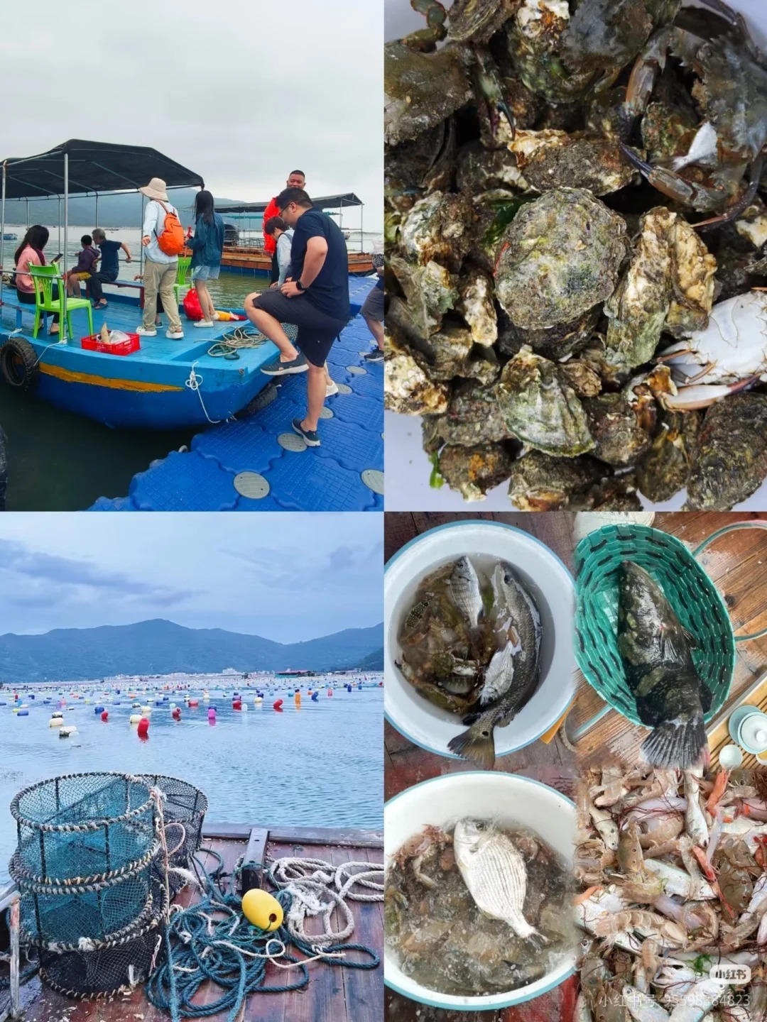 1764577735317_50JGtWYP 1764577735317_50JGtWYP