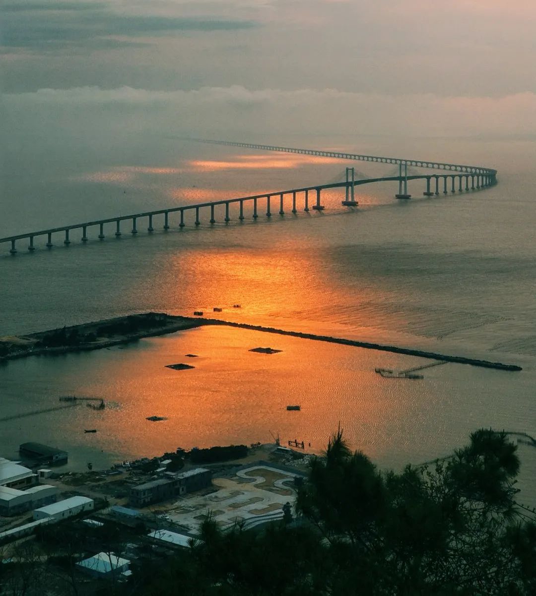 1764577735328_10PiZMhA 1764577735328_10PiZMhA