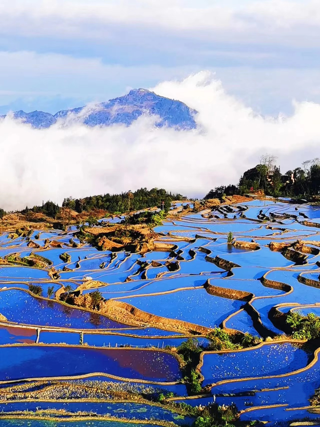 1764826760924_73YPwKZR