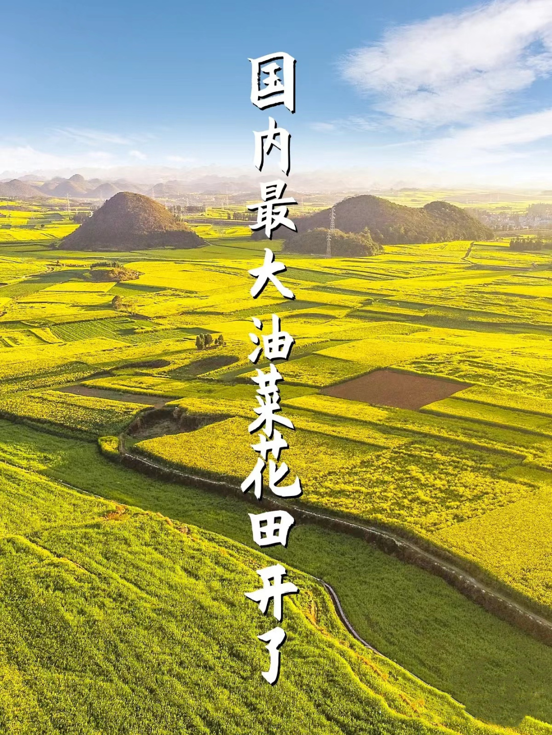 1764826760928_63j7pYkE