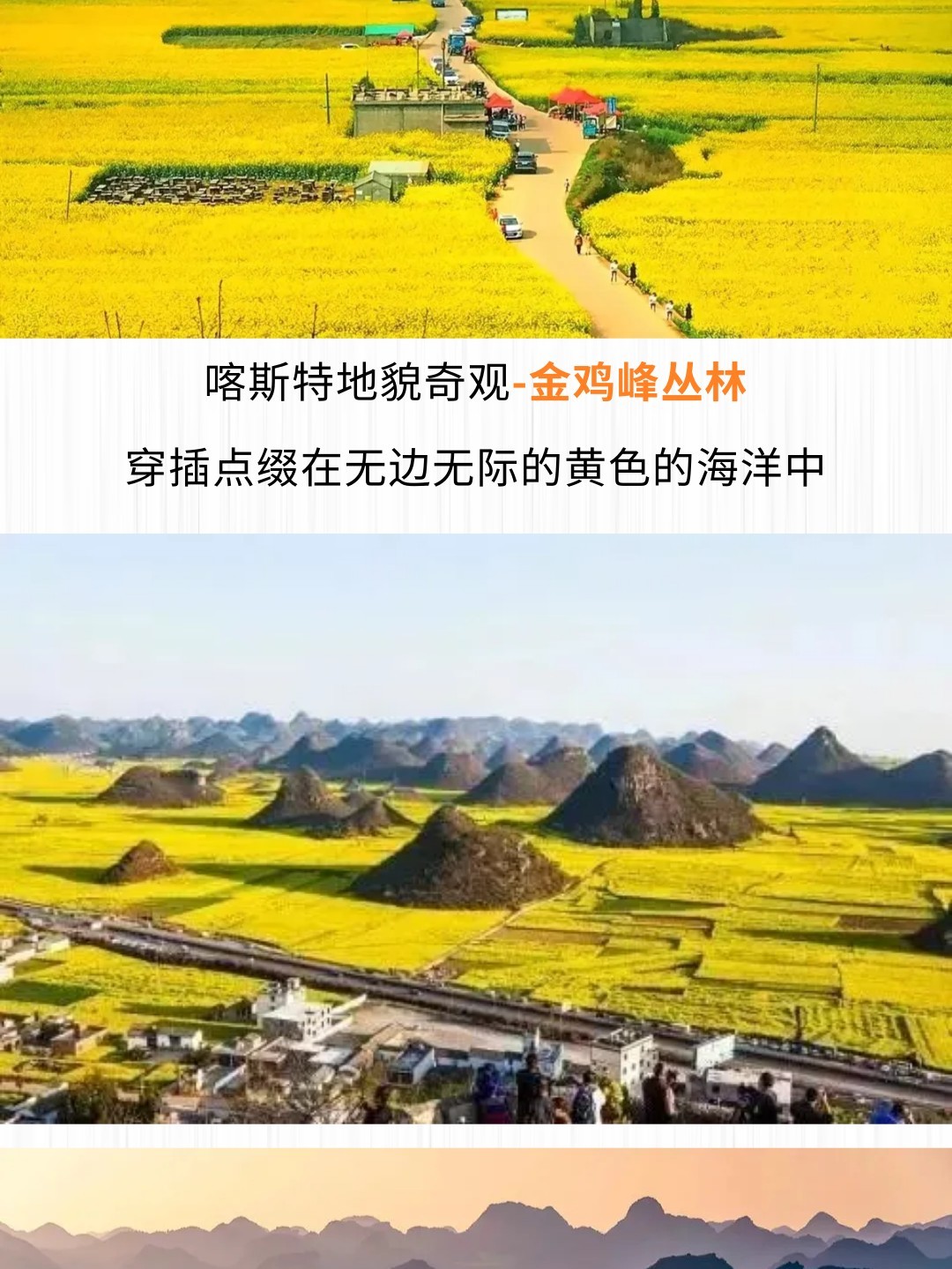 1764826760930_522adpy3