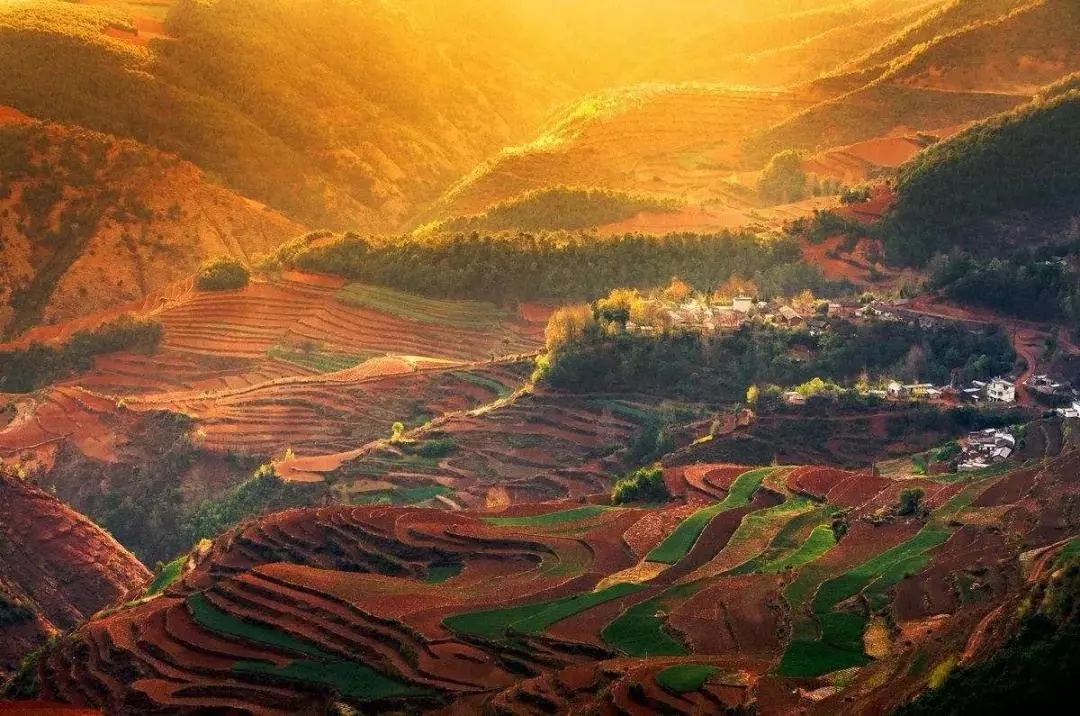 1764826760930_54prmT57