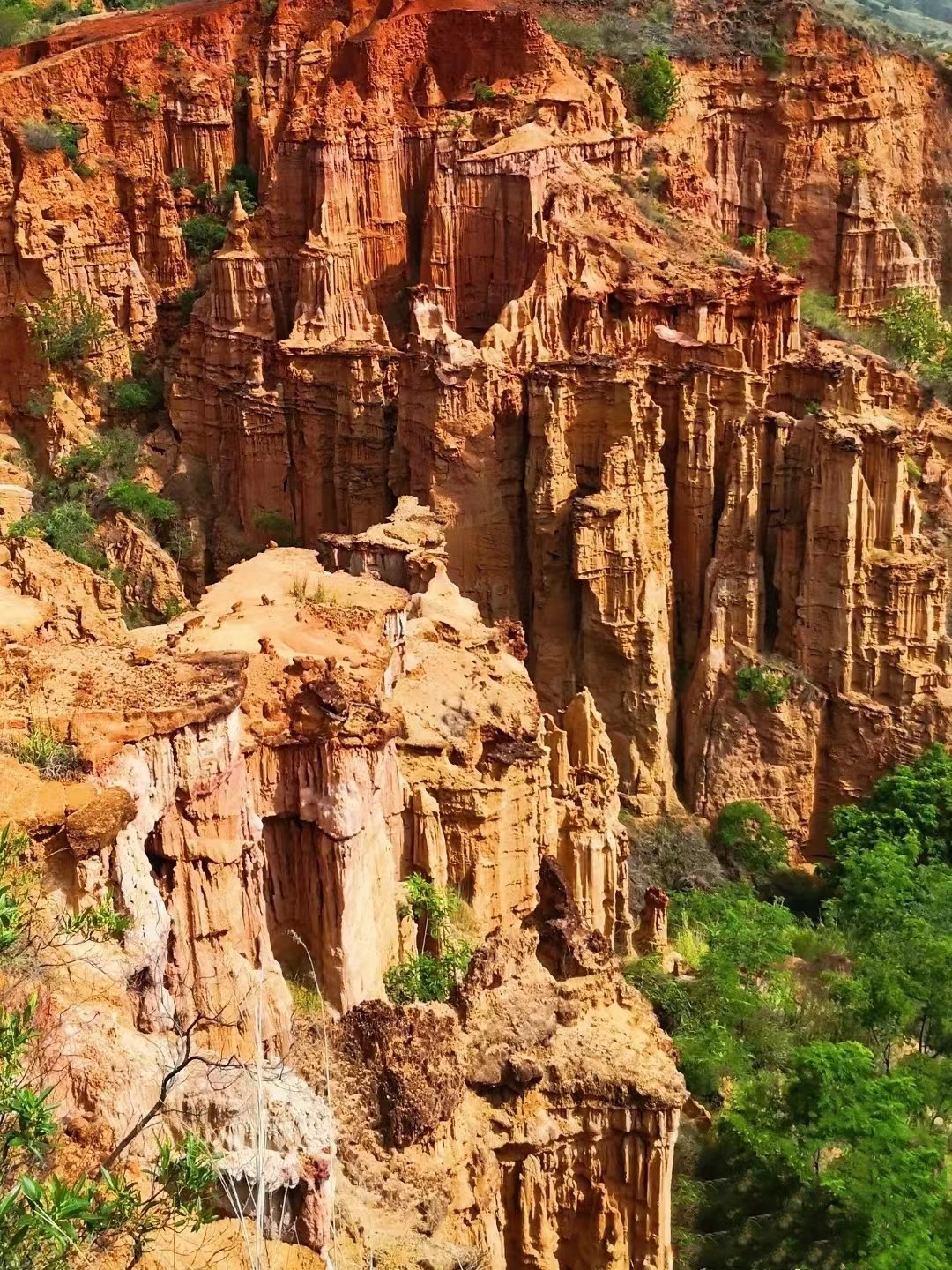 1764826760931_49DBSTQ2