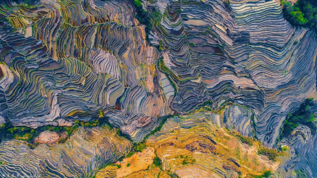 1764826760931_50Z6WNRB