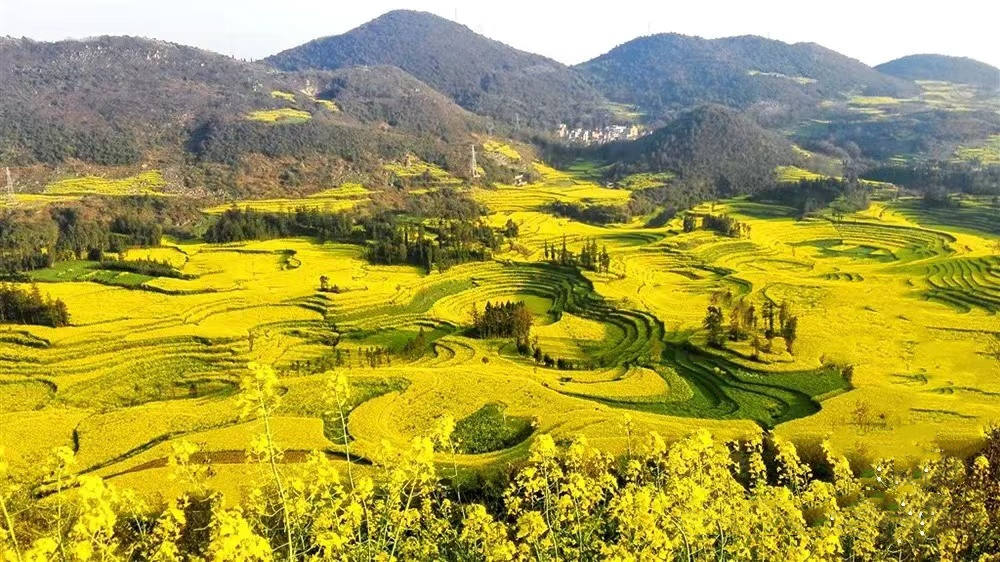 1764826760938_32kD5xQt