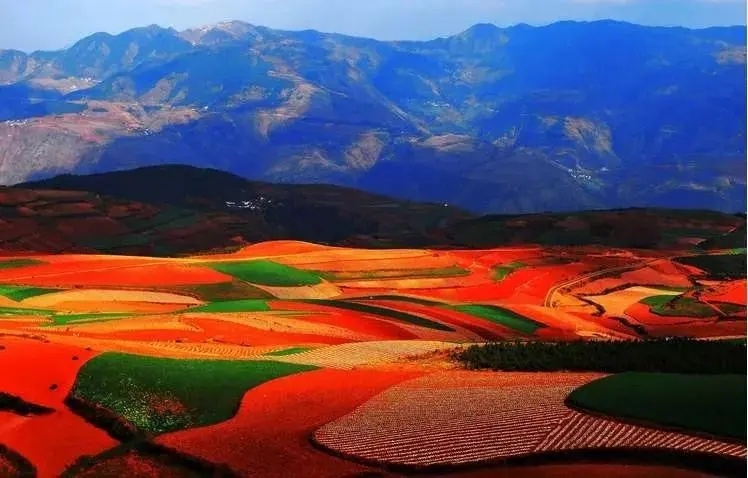 1764826760939_28cNp7MK